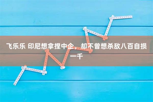飞乐乐 印尼想拿捏中企，却不曾想杀敌八百自损一千